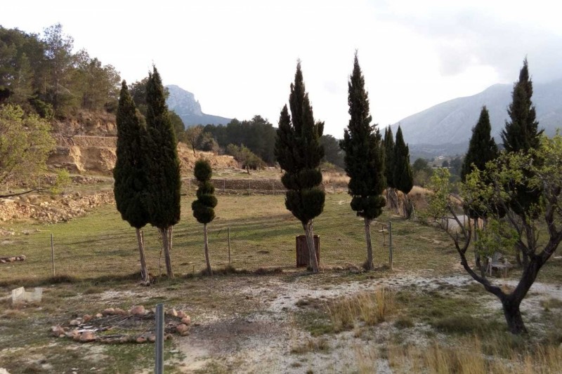 Parcela con vistas a la montaña Sierra de Bernia!